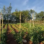 Villa Elena U Ladicima For 8 People With Private Pool & Sports Complex In Central Istria