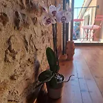 Apartments Sena