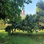 Apartments In Porec/Istrien 37747