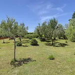 Appartement Mit Grossem Garten Und Grillbereich