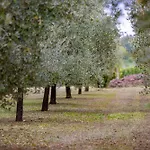 Villa Allegra