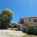 Apartman Oli 1