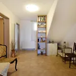 Geraeumige Kellerwohnung In Der Naehe Von Umag
