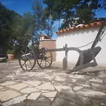 Apartman Luna