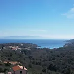Marina 11
