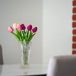 Apartment Gioia