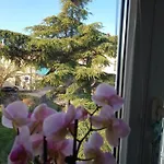 Apartment Luka