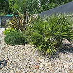 Luxury Apartment Nina With Heated Swimming Pool, Villa Adriatic
