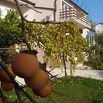 Apartments Bernic