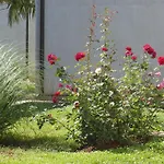 Resort Zatisje