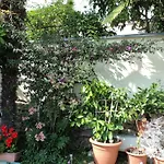 Three-Bedroom Apartment In Vrsar I