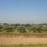 Apartments Zdravac