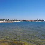 Apartment Novigrad 1