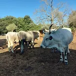 Ranch Radin