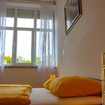 Apartment Botic