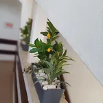 Apartmani Mirko Rovinj