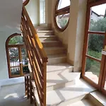 Apartments In Novigrad/Istrien 31220