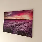 Room Zonti
