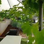Apartments Anica
