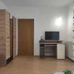 Apartman Grzic
