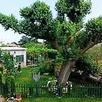 Apartment Nika