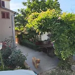 Viva Molindrio