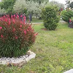 Apartman Gulici