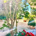 Apartment Porec
