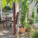 Villa Kamelija
