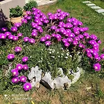 Apartmani Skopac Rabac