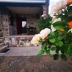 The Blue House