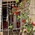 Apartmani Petar Stojnic