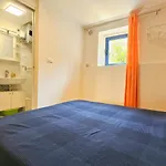 Blu Violati