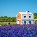 Holiday House Brajdine Lounge
