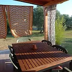Nature Home Eco-Friendly Pet-Friendly