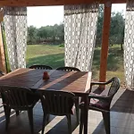 Nature Home Eco-Friendly Pet-Friendly