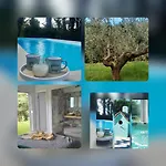 Vila Green Silence