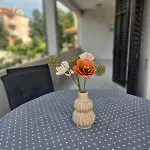 Apartment Vilma