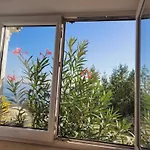 Apartments Chiara Mit Meerblick Und Pool Und Jacuzzi