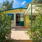 Mobilhomes Camping Oliva