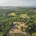 Casa Vala Romana With Jacuzzi And Big Garden