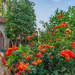 Gorgeous Apartment In Premantura With Kitchen
