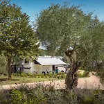 Maistra Camping Koversada Uncovered Naturist Pitches