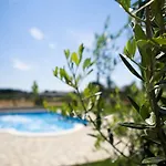 Marceta - Apartments & Rooms With Swimming Pool