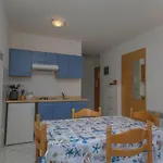 App With Ac, Pets Friendly,389