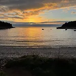 Moana
