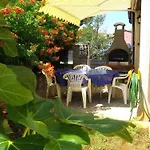 Wohnung In Novigrad Mit Garten