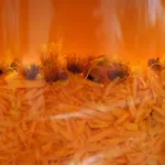 Gemuetliche Ferienwohnung 3