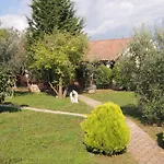 Melisa 6