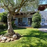 Villa Maslinova Grana